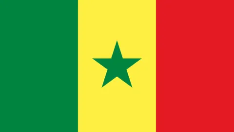 “十五运会女排资格战：强队实战锻炼，新星崭露头角”